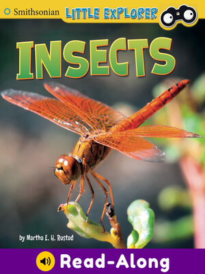 cover image of Insects